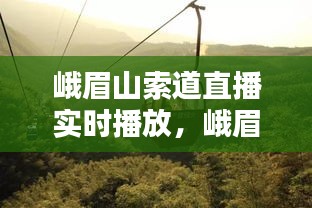 峨眉山索道直播實時播放，峨眉山索道購票 