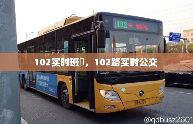 102實(shí)時班車，102路實(shí)時公交 