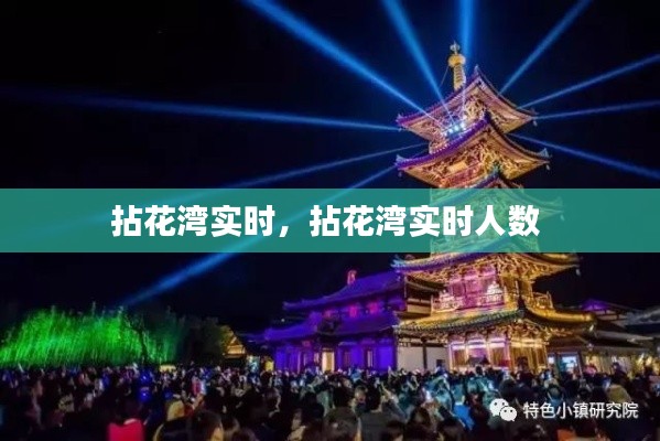 拈花灣實時，拈花灣實時人數(shù) 