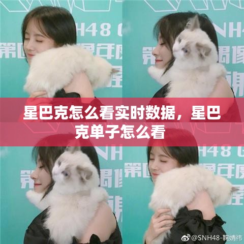 星巴克怎么看實時數(shù)據(jù)，星巴克單子怎么看 