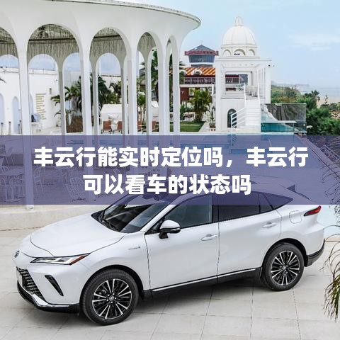 豐云行能實(shí)時(shí)定位嗎，豐云行可以看車的狀態(tài)嗎 