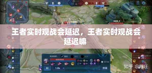王者實(shí)時(shí)觀戰(zhàn)會(huì)延遲，王者實(shí)時(shí)觀戰(zhàn)會(huì)延遲嘛 