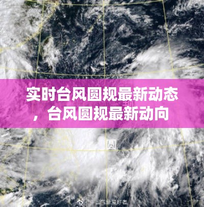 朝飛暮卷 第4頁