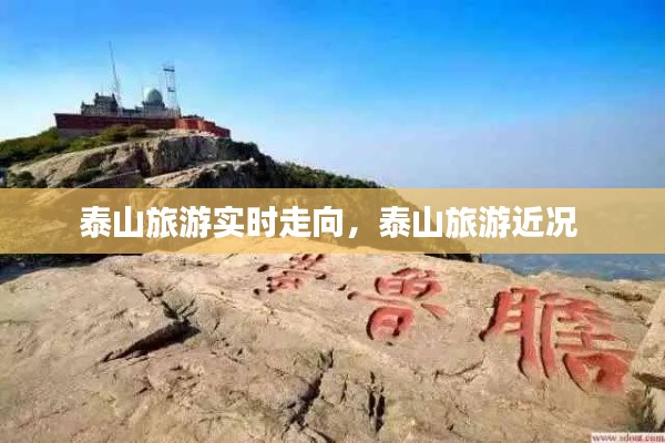 泰山旅游實(shí)時(shí)走向，泰山旅游近況 