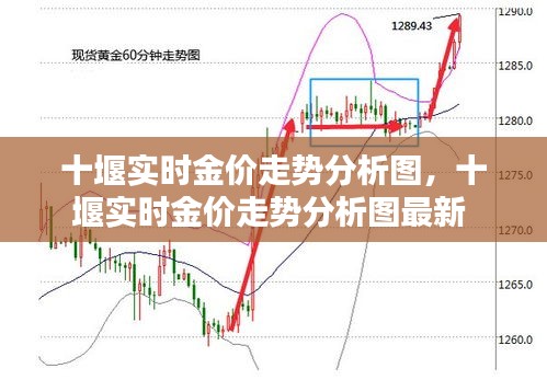 十堰實(shí)時(shí)金價(jià)走勢(shì)分析圖，十堰實(shí)時(shí)金價(jià)走勢(shì)分析圖最新 