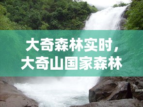 大奇森林實(shí)時(shí)，大奇山國(guó)家森林公園景點(diǎn)介紹 