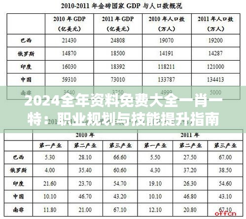 2024全年資料免費(fèi)大全一肖一特：職業(yè)規(guī)劃與技能提升指南