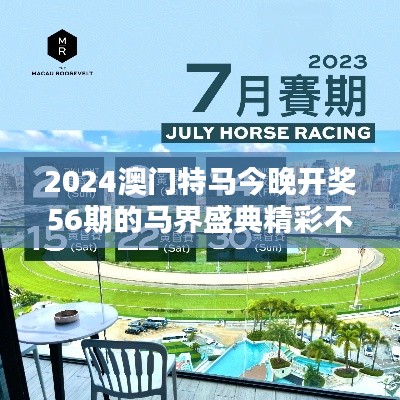 2024澳門特馬今晚開獎56期的馬界盛典精彩不斷