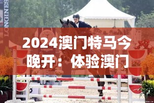 2024澳門特馬今晚開：體驗(yàn)澳門馬術(shù)的非凡之夜