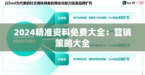 2024精準資料免費大全：營銷策略大全