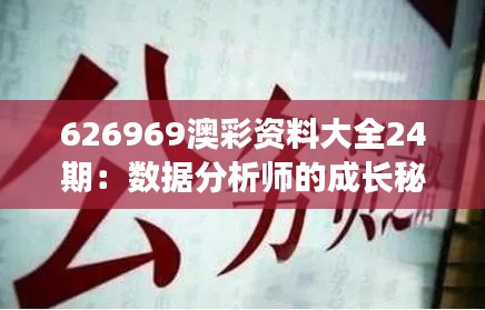626969澳彩資料大全24期：數(shù)據(jù)分析師的成長秘籍