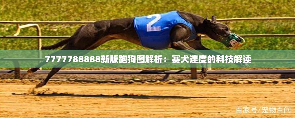 7777788888新版跑狗圖解析：賽犬速度的科技解讀
