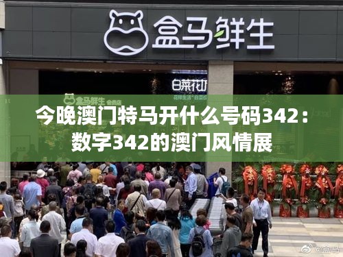 今晚澳門特馬開什么號碼342：數(shù)字342的澳門風情展