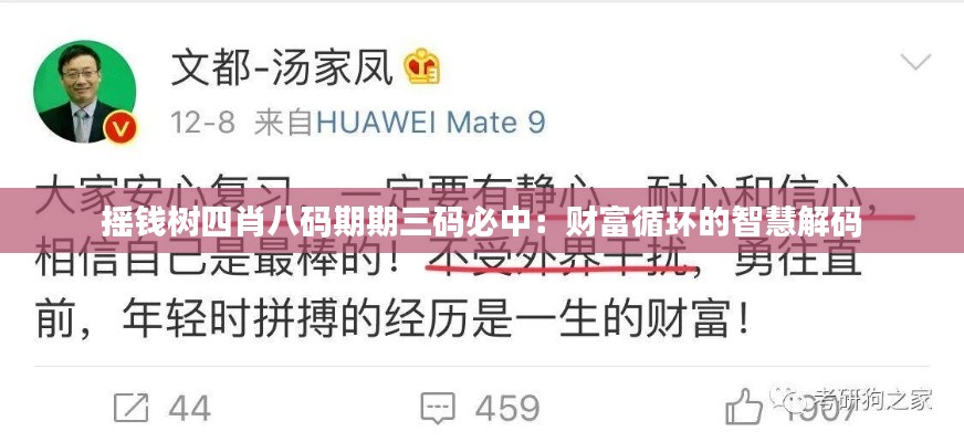 搖錢樹四肖八碼期期三碼必中：財富循環(huán)的智慧解碼