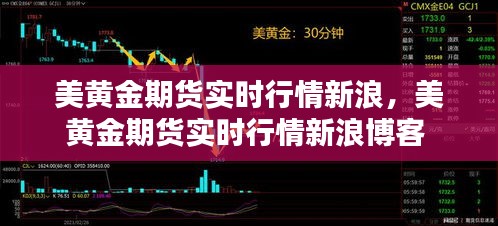 美黃金期貨實時行情新浪，美黃金期貨實時行情新浪博客 