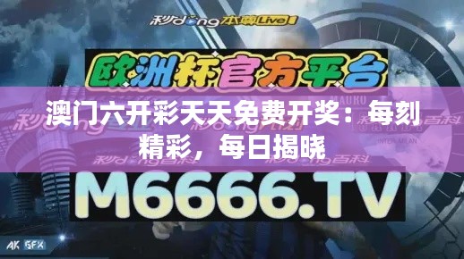 澳門六開彩天天免費開獎：每刻精彩，每日揭曉