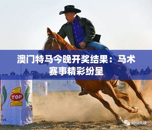 澳門特馬今晚開獎(jiǎng)結(jié)果：馬術(shù)賽事精彩紛呈