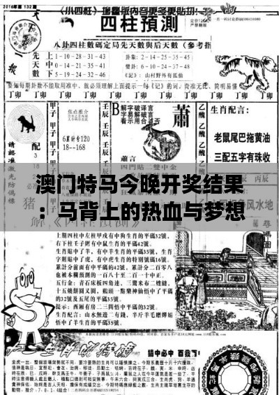 澳門特馬今晚開獎結(jié)果：馬背上的熱血與夢想