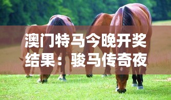 澳門(mén)特馬今晚開(kāi)獎(jiǎng)結(jié)果：駿馬傳奇夜晚揭曉