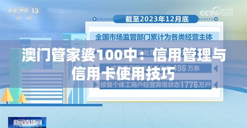 澳門管家婆100中：信用管理與信用卡使用技巧