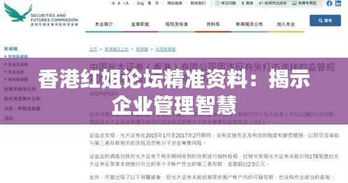香港紅姐論壇精準(zhǔn)資料：揭示企業(yè)管理智慧