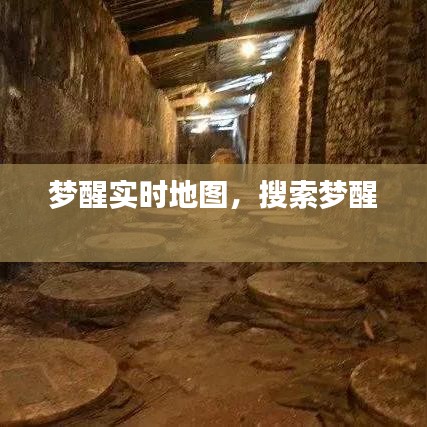 夢(mèng)醒實(shí)時(shí)地圖，搜索夢(mèng)醒 