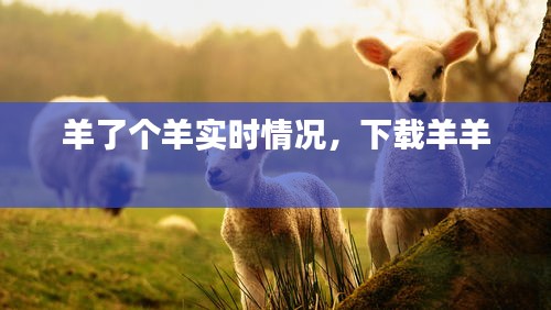 羊了個羊?qū)崟r情況，下載羊羊 
