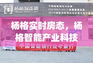 楊格實(shí)時房態(tài)，楊格智能產(chǎn)業(yè)科技(廣東)有限公司 