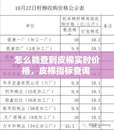 飛鳥依人 第3頁