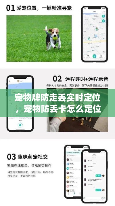 飛揚撥扈 第4頁