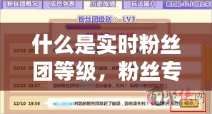 什么是實(shí)時(shí)粉絲團(tuán)等級(jí)，粉絲專用實(shí)時(shí)號(hào)檢測(cè) 