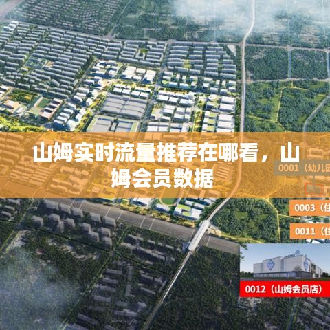 山姆實時流量推薦在哪看，山姆會員數(shù)據(jù) 