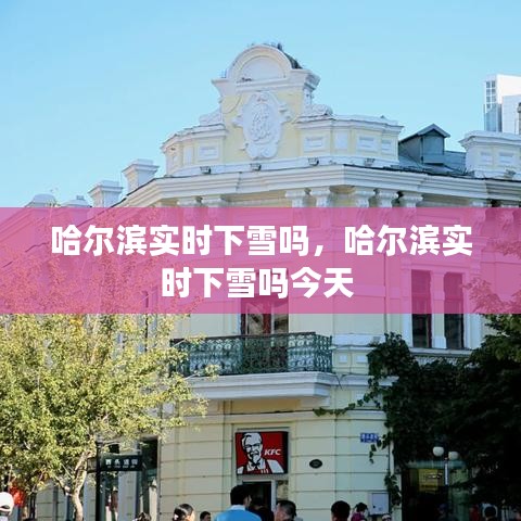 哈爾濱實(shí)時(shí)下雪嗎，哈爾濱實(shí)時(shí)下雪嗎今天 