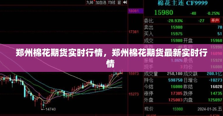 鄭州棉花期貨實(shí)時(shí)行情，鄭州棉花期貨最新實(shí)時(shí)行情 