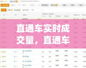 直通車實(shí)時(shí)成交量，直通車成交占比 