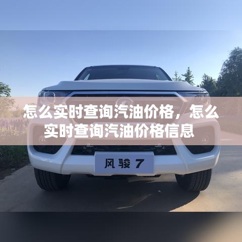 怎么實(shí)時(shí)查詢汽油價(jià)格，怎么實(shí)時(shí)查詢汽油價(jià)格信息 