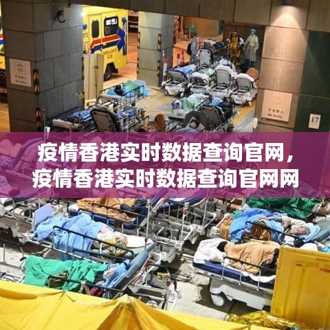 疫情香港實(shí)時(shí)數(shù)據(jù)查詢官網(wǎng)，疫情香港實(shí)時(shí)數(shù)據(jù)查詢官網(wǎng)網(wǎng)址 