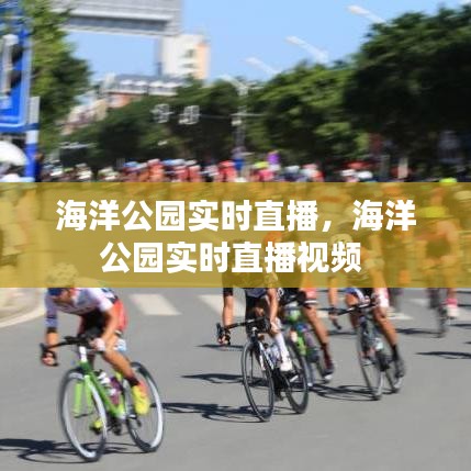 海洋公園實(shí)時(shí)直播，海洋公園實(shí)時(shí)直播視頻 