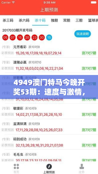 4949澳門特馬今晚開獎53期：速度與激情，第53期特馬盛宴