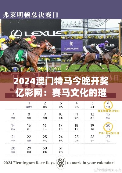 2024澳門特馬今晚開獎億彩網(wǎng)：賽馬文化的璀璨之夜