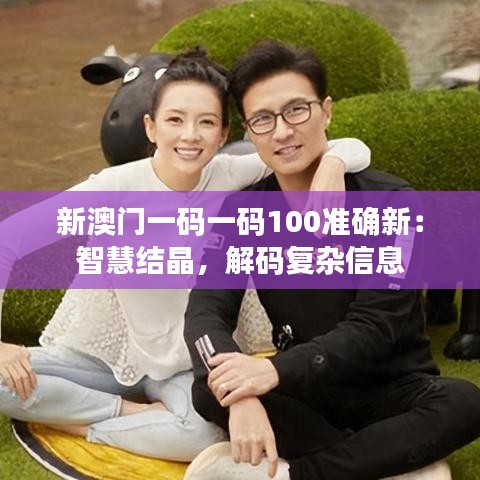 新澳門(mén)一碼一碼100準(zhǔn)確新：智慧結(jié)晶，解碼復(fù)雜信息