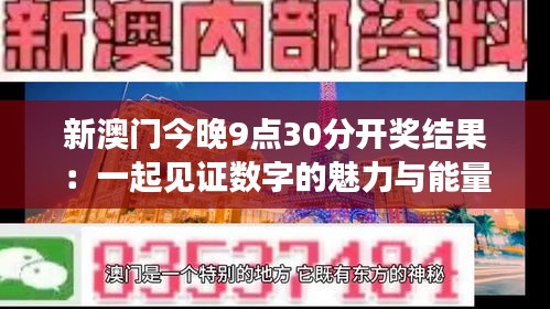 新澳門今晚9點30分開獎結(jié)果：一起見證數(shù)字的魅力與能量