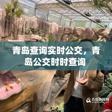 青島查詢實時公交，青島公交時時查詢 