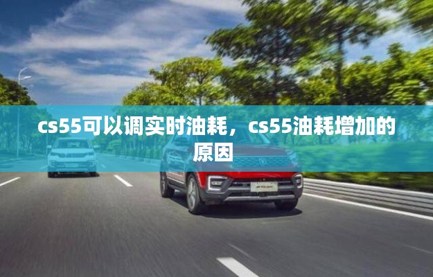 cs55可以調(diào)實時油耗，cs55油耗增加的原因 
