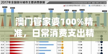 澳門管家婆100%精準，日常消費支出精準控