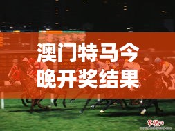 澳門特馬今晚開獎(jiǎng)結(jié)果：賽馬界的星光熠熠