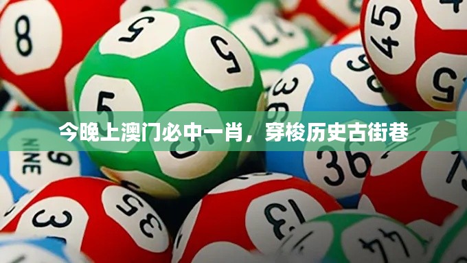 今晚上澳門(mén)必中一肖，穿梭歷史古街巷