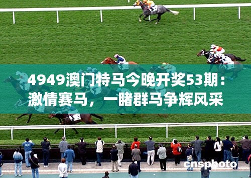 4949澳門特馬今晚開獎(jiǎng)53期：激情賽馬，一睹群馬爭輝風(fēng)采