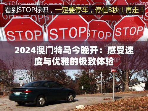 2024澳門特馬今晚開：感受速度與優(yōu)雅的極致體驗