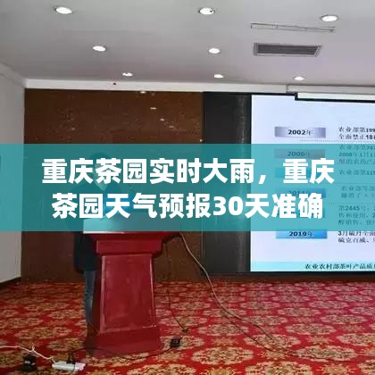 重慶茶園實時大雨，重慶茶園天氣預(yù)報30天準(zhǔn)確 